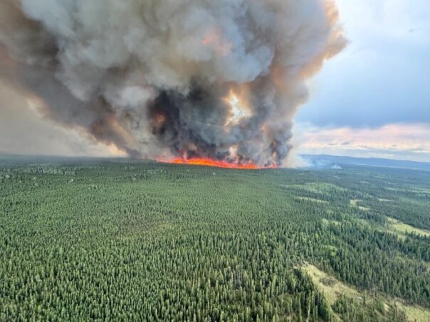 More Than 100 Wildfires Are Burning In Alaska Many Of Them In The Interior