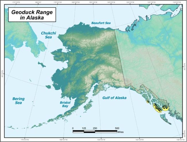 Bill would expand geoduck farms to Gulf of Alaska