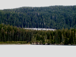 Tailings facility