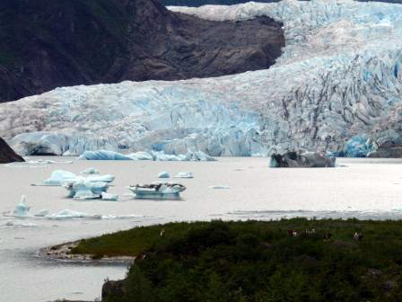 Mendenhall Lake on July 4, 2012 This photo was taken on July 4 at about 4 p.m. following a series of large calving events on Tuesday, July 3. "Today the lake is filled with icebergs including some huge pieces that are noticeably moving around the lake," said Laurie Craig, lead naturalist for the Mendenhall Glacier Visitor Center. "They are subject to rolling over or breaking apart. Waves could result from unexpected glacier activity."