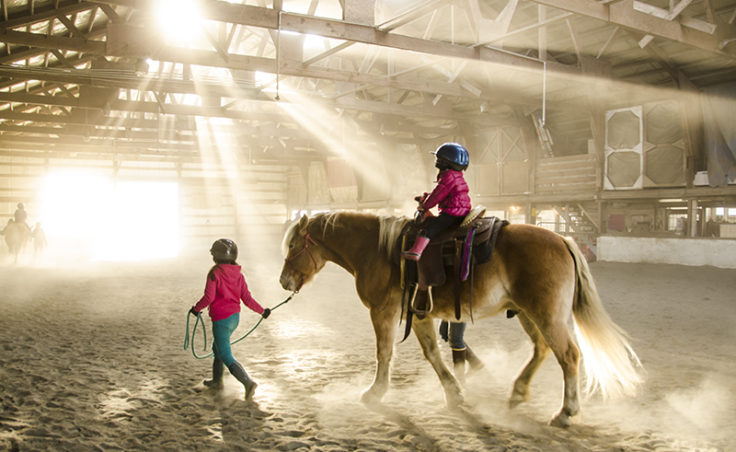 Sunlight streams into the dusty barn as Higgins carries another rider around the arena.