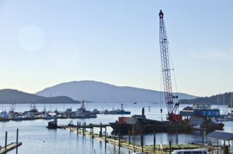 A construction barge from Pacific Pile and Marine of Seattle is docked in Statter Harbor.
