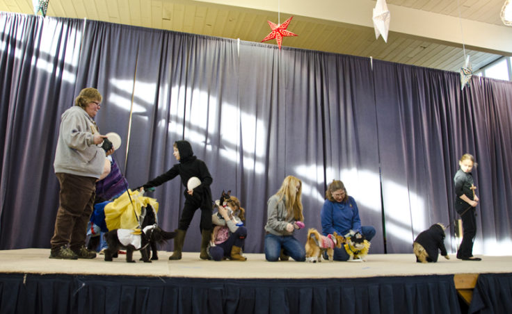 All the contestants gather on stage for the Pawsitively Fabulous costume contest.