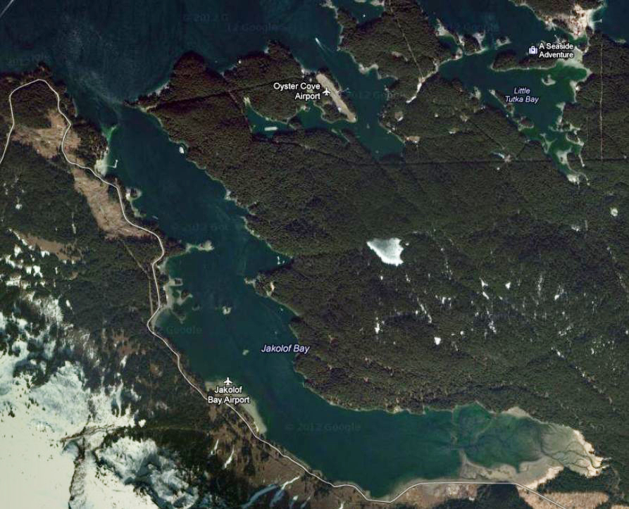 Homerarea oyster farms could be threatened by pollution