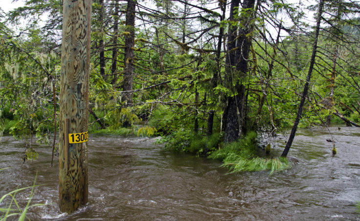 June rainfall broke records and dropped temperatures in Juneau. Rushing water floods the ditches along Montana Creek road and come withing a few feet of covering the road.