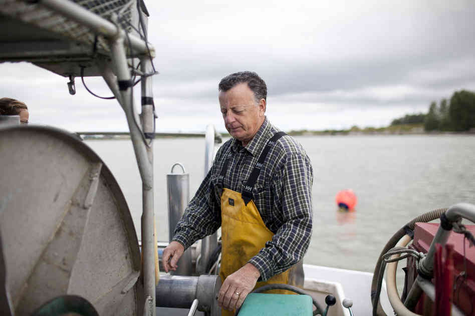 Conditions Allow For More Sustainable-Labeled Seafood