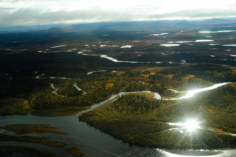 The Mulchatna River lies at the heart of the Nushagak watershed. All five Pacific salmon species spawn in the Mulchatna and it's tributaries - which include the Koktuli and Stuyahok Rivers.