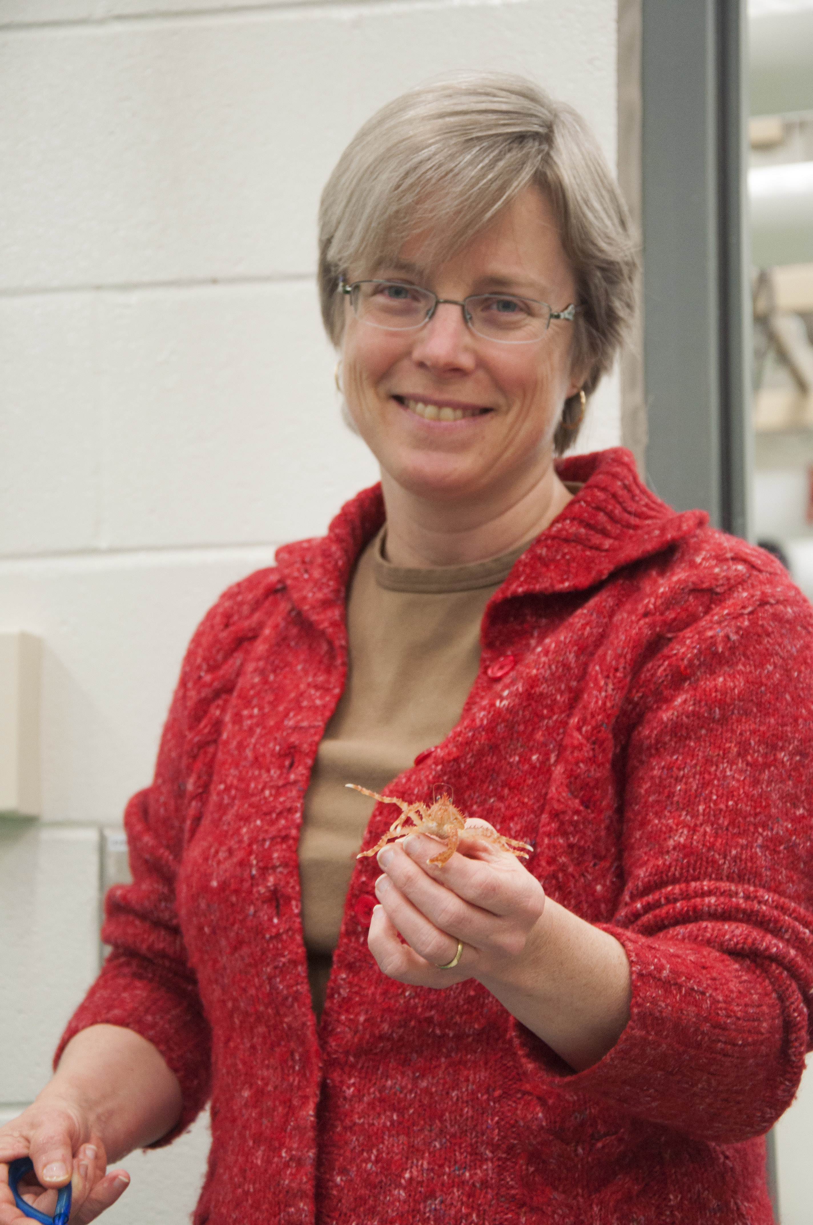 UAF marine biologist Ginny Eckert displays one of her research subjects, a juvenile red king crab.