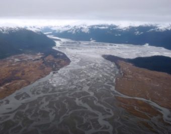 The Stikine River Delta, as seen from the air. The chinook subsistence fishery on the river has been closed. Photo by Ed Schoenfeld, CoastAlaska News.