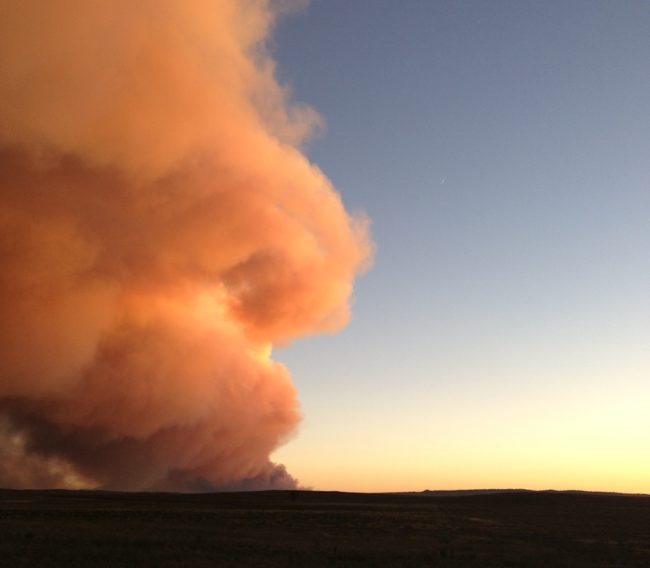 Smoke rises from the Black Forest Fire near Colorado Springs. Kirk Siegler /NPR