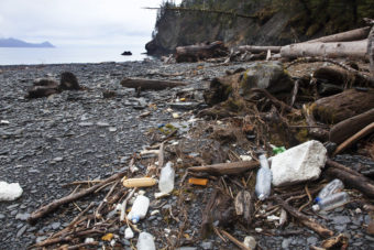 Marine debris in Bulldog Cove on the western shore of Resurrection Bay in 2011. Photo credit: Kip Evans/courtesy of Anchorage Museum