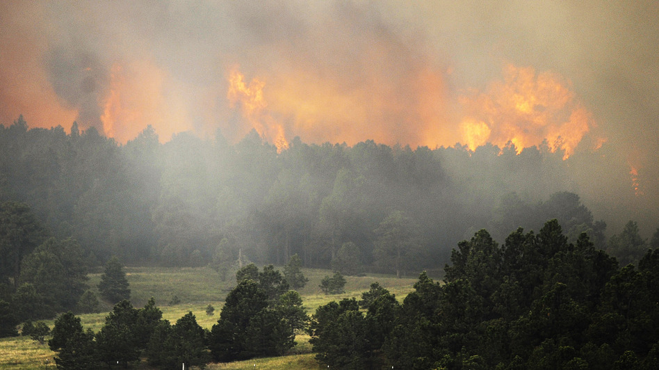 The Black Forest wildfire is burning near Colorado Springs, Colo. As Thursday dawned it was "zero percent contained," authorities said. Chris Schneider/Getty Images