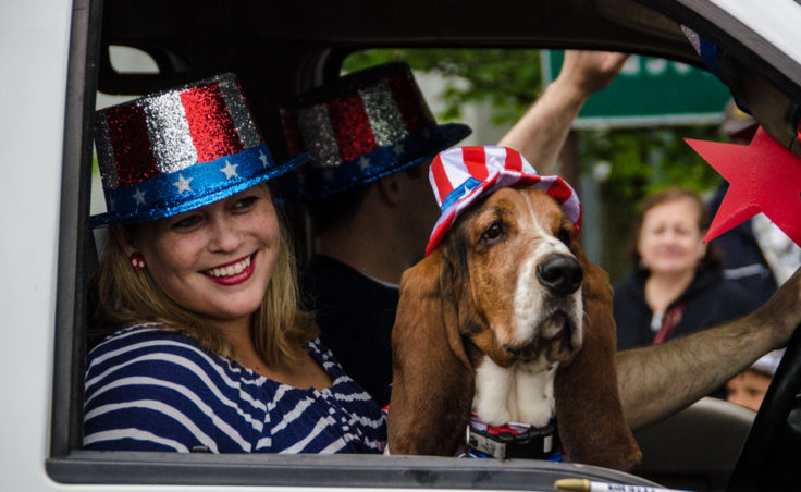 Patriotic pups were all over town yesterday as part of the festivities.