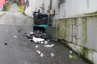 Trash can raided by a bear