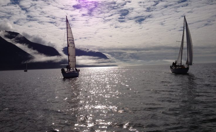 The sun came out for the third day of the SEAS Labor Day Regatta. (Photo by Lisa Phu/KTOO)