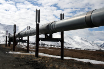The Trans-Alaska Pipeline System is one of the world's largest pipeline systems. (Photo courtesy of the Department of Natural Resources.)