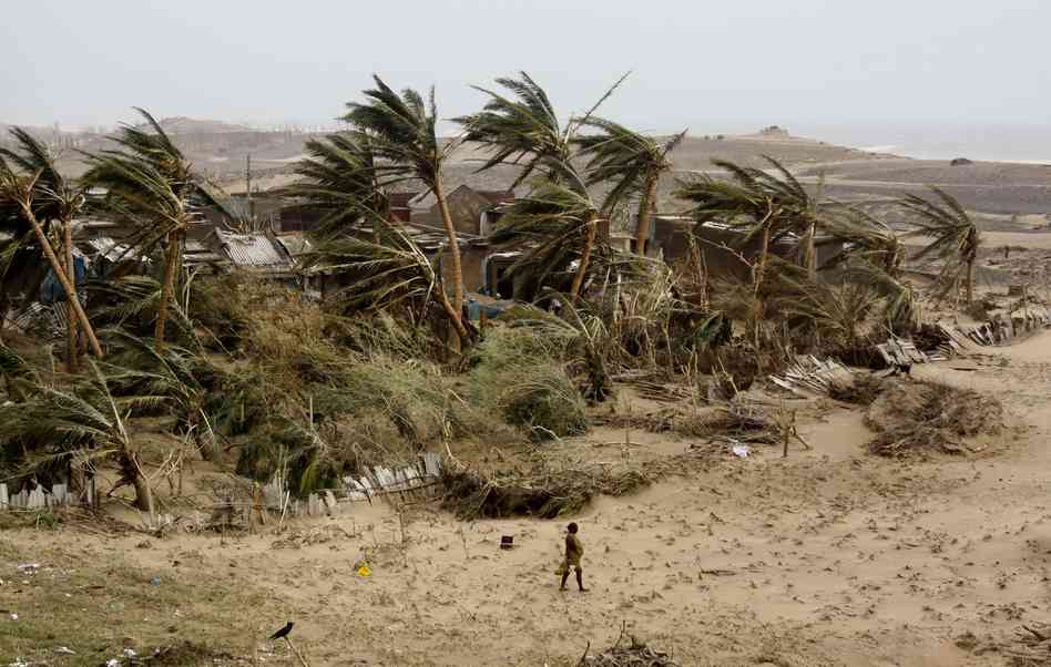A woman returns to the cyclone-hit Arjipalli village on the Bay of Bengal coast in Orissa state, India, on Sunday. The state's Chief Minister Naveen Patnaik says that a full recovery will be a "big challenge." Biswaranjan Rout/AP A woman returns to the cyclone-hit Arjipalli village on the Bay of Bengal coast in Orissa state, India, on Sunday. The state's Chief Minister Naveen Patnaik says that a full recovery will be a "big challenge." Biswaranjan Rout/AP