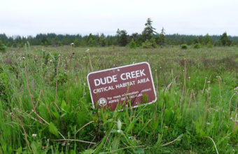 Dude Creek Critical Habitat Area