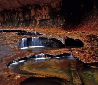 An autumn scene in the canyon known as "The Subway" in Zion National Park in Utah, which is now off-limits to hikers and other tourists due to the government shutdown. Wanda Gayle/NPR