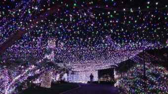 Decorating their house and yard with more than 31 miles' worth of lights, an Australian family has reclaimed a Guinness world record in Canberra, Australia. Guinness World Records 2014 is out now