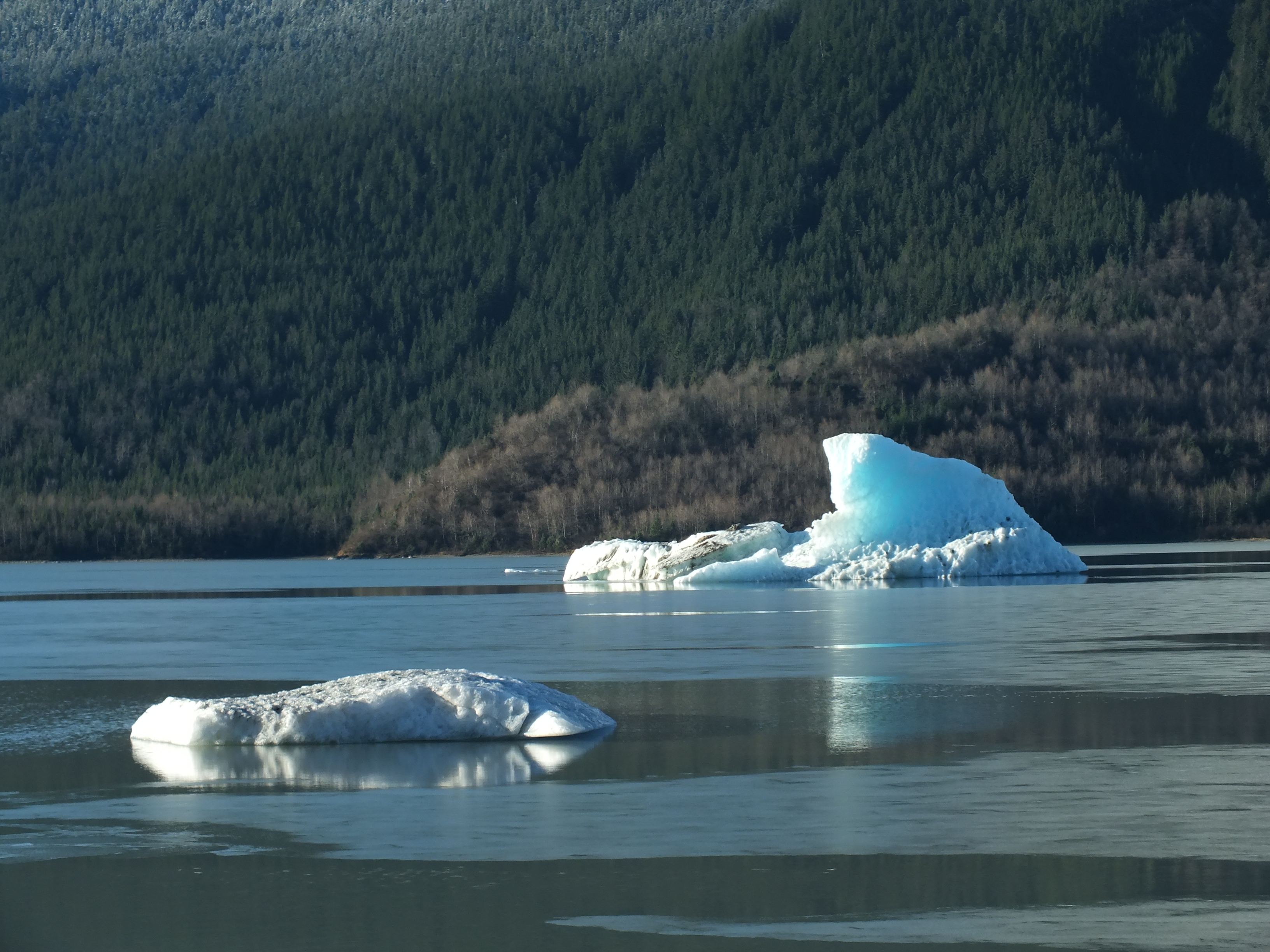 Mendenhall Lake icebergs