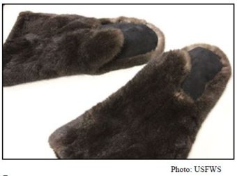 Gloves—made from a sea otter pelt that has been cut into pieces and sewn. USFWS considers this an example of significantly altered.