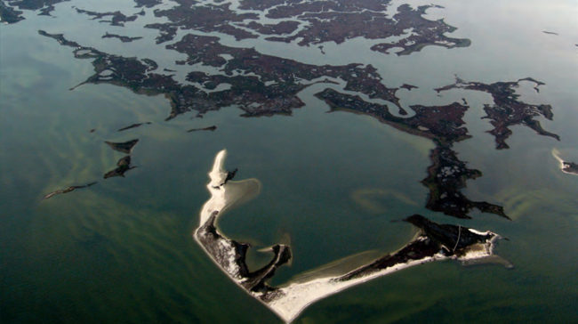 Saltwater wetlands that include marshes and shoals on Virginia's Atlantic coast. U.S. coastal wetlands losses were 25 percent greater from 2004-2009, according to a recent federal study. U.S. Fish and Wildlife Service