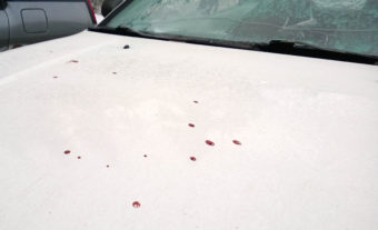 Blood from the man who was shot Friday at the Coho Park Apartments ended up on the hood of one resident's car. (Photo by Jeremy Hsieh/KTOO)