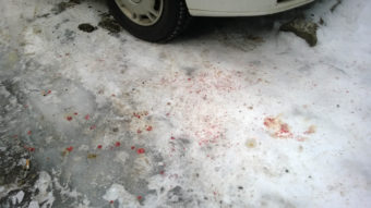 Blood from a 44-year-old man shot on Friday was still evident around in the snow in the area on Saturday. (Photo by Jeremy Hsieh/KTOO)