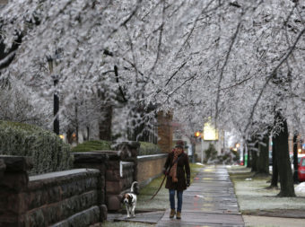 Heather Griffin, of Buffalo, N.Y., and her dog Sal walk beneath ice-covered trees on Sunday in Buffalo. Mike Groll/AP