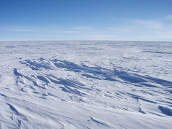 Sastrugi stick out from the snow surface in this photo near Plateau Station in East Antarctica. Most of Antartica looks quite flat, despite the subtle domes, hills, and hollows. Atsuhiro Muto/ National Snow and Ice Data Center