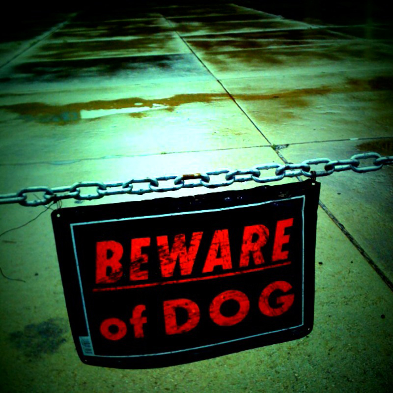 Beware of dog sign. Photo by unsure shot/Flickr Creative Commons.