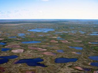 Desiccated lakes near Churchill, Manitoba