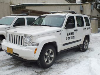 Juneau Animal Control vehicles