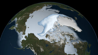 Sea ice 2012