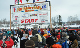 The 2014 Iditarod will start in Willow and not Fairbanks. Officials had been contemplating moving the start because of trail conditions. Photo by Patrick Yack – Alaska Public Media.