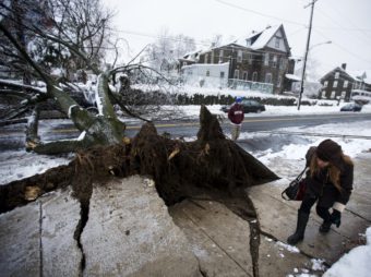 In Philadelphia on Wednesday, a woman ducked under a utility line that was brought down when an ice-covered tree fell. Matt Rourke/AP