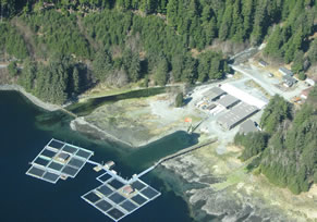 Medvejie Hatchery south of Sitka is one of the salmon enhancement facilities operated by NSRAA. (Photo courtesy of NSRAA)