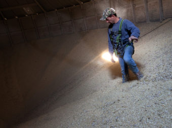 Grain Operator Austin Clubb surveys corn inside the Homestead Grain Facility at Amana Farms near Cedar Rapids, Iowa. John Poole/NPR