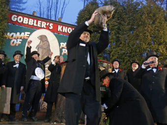 Punxsutawney Phil is held by handler John Griffiths after emerging from his burrow to see his shadow and forecast six more weeks of winter weather. Gene J. Puskar/AP