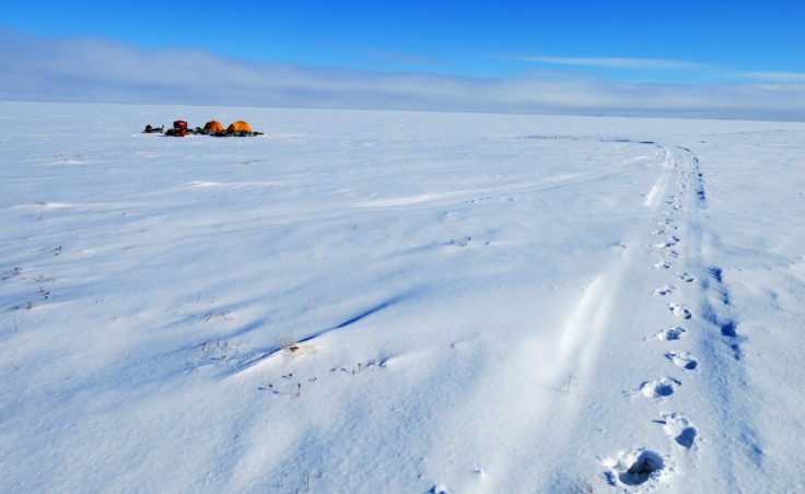 A field camp for scientists studying arctic lakes pitched on one of the lakes they are studying. (Photo by Ned Rozell)