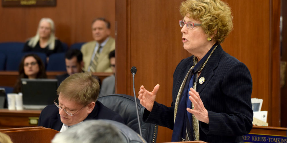 Rep. Gabrielle LeDoux addresses the Alaska House of Representative on April 10, 2014, during debate on Senate Bill 49. The bill aims to limit Medicaid coverage of abortions to only "medically necessary" ones. (Photo by Skip Gray/Gavel Alaska)