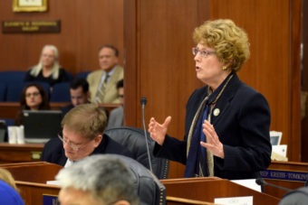Rep. Gabrielle LeDoux addresses the Alaska House of Representative on April 10, 2014, during debate on Senate Bill 49. The bill aims to limit Medicaid coverage of abortions to only "medically necessary" ones. (Photo by Skip Gray/Gavel Alaska)
