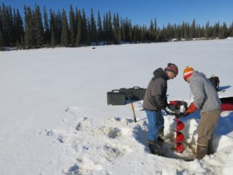From left, Chris Arp and Ben Gaglioti drill a hole in a small lake near Fairbanks. (Photo by Ned Rozell)