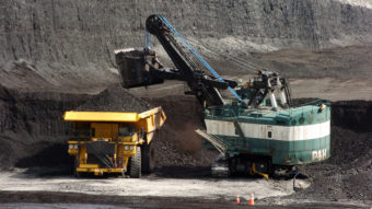 Stanford University's trustees says the school will rid itself of any investments it has made in coal-producing companies. A 2013 file photo shows coal being loaded onto a truck at a mine near Decker, Montana. Matthew Brown/AP