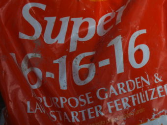 Front of bag of 16-16-16 fertilizer specifies proportions of nitrogen, phosphate, and potash.