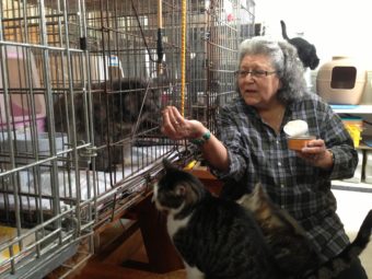 Dolores Klinke feeds cats in her garage at St. Frances Animal Rescue. (Photo by Shady Grove Oliver/KSTK)
