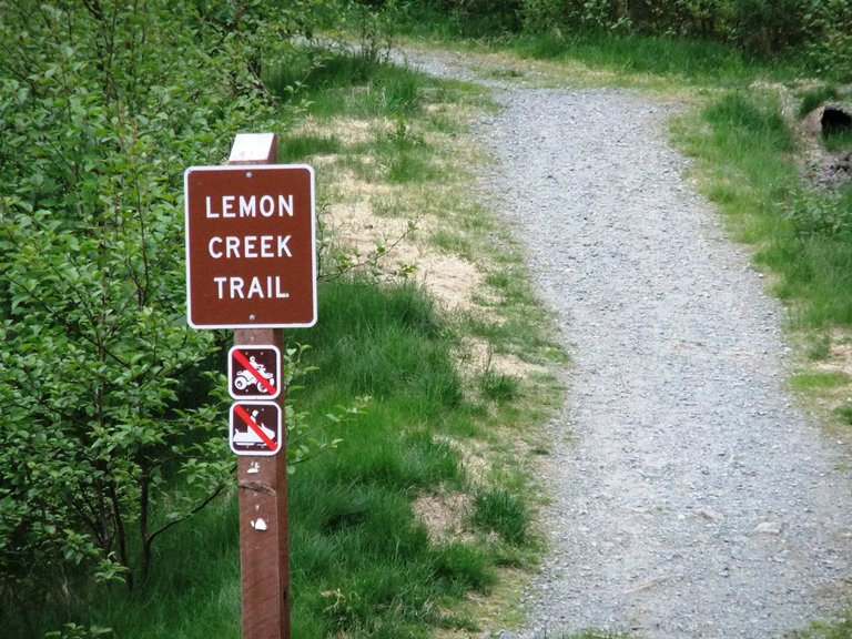 Lemon Creek Trail head  next to Home Depot. (Photo by Rosemarie Alexander/KTOO)