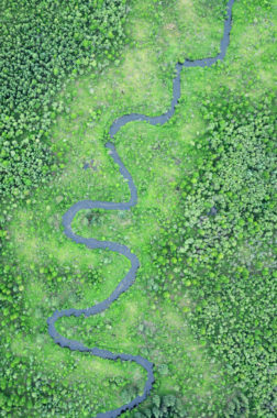 An aerial photo of a stream winding through Tanana Flats taken by pilot Jessica Cherry. (Photo by Jessica Cherry)