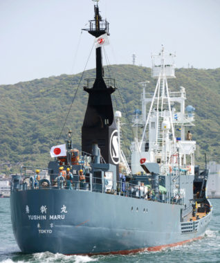 The Japanese whaling ship Yushin Maru leaves Shimonoseki port in Yamaguchi Prefecture, southwestern Japan, last month. Japan's prime minister says he wants to expand whaling operations after they were temporarily scaled back. Kyodo/Landov